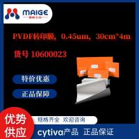 热销：PVDF转印膜，0.45μm，30cm*4m*cytiva*10600023