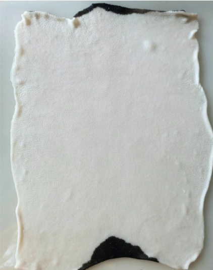 巴马猪皮 透皮实验用巴马猪皮 供应有实验动物资质巴马猪皮