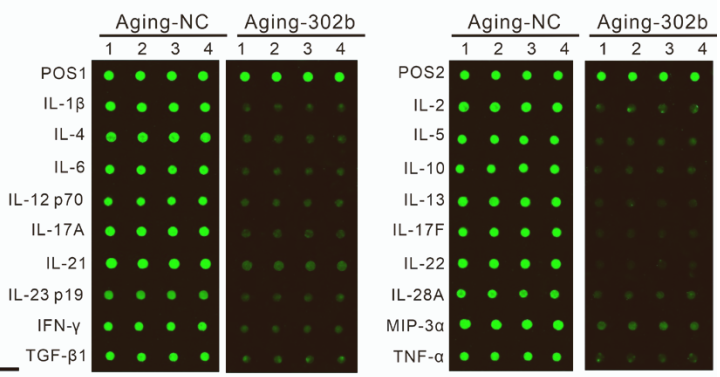技术资料图片13
