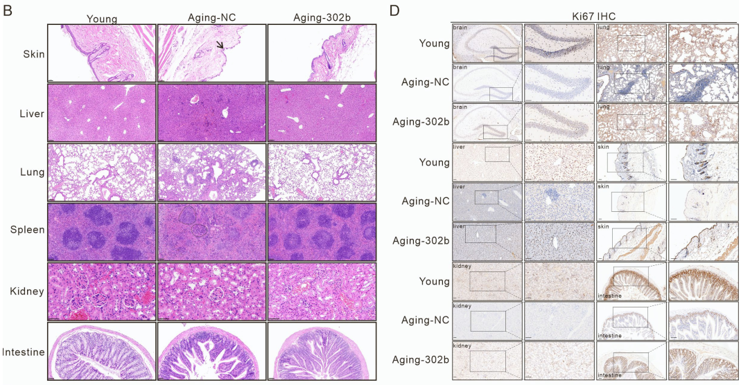 技术资料图片14