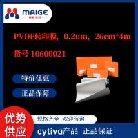 热销：PVDF转印膜，0.2μm，26cm*4m*cytiva*10600021