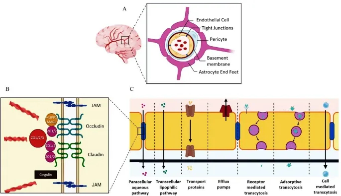 外泌体技术服务