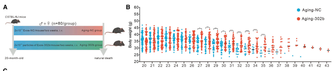 技术资料图片11