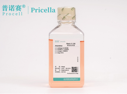 科研级Ham's F-12K培养基 | 含腐胺/锌离子促进细胞分化