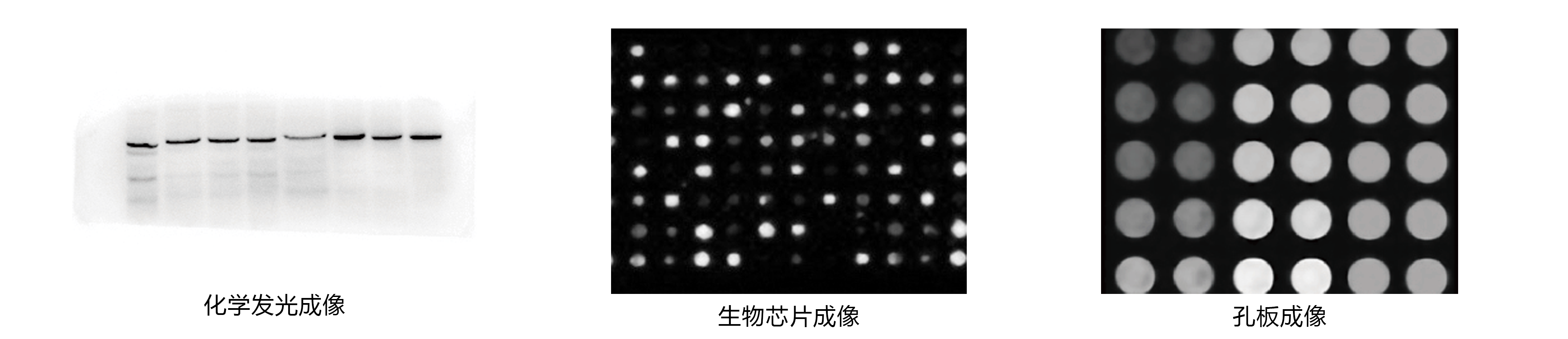 产品细节图片2