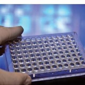 CircuLex AGE-RAGE in vitro Binding Assay Kit