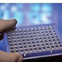 CycLex NAD+/NADH Colorimetric Assay Kit Ver.2