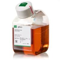 Fetal Bovine Serum, Premium Plus