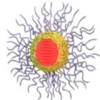 巯基端嵌段共聚物 P(MMA-b-GMA)-SH 修饰 QDs(量子点)