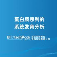 蛋白质序列的系统发育分析