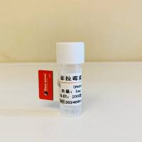 泰拉霉素单克隆抗体;泰拉霉素抗体;泰利霉素抗体;泰拉霉素抗体(17H8细胞株);Telamycin抗体