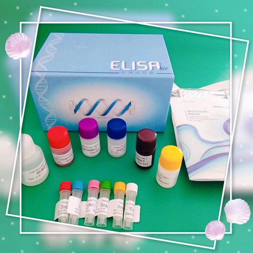 犬白介素8(IL-8)ELISA试剂盒