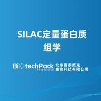 SILAC定量蛋白质组学-百泰派克生物科技