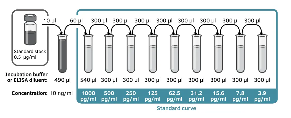 首次进行 ELISA 实验的 11 个建议