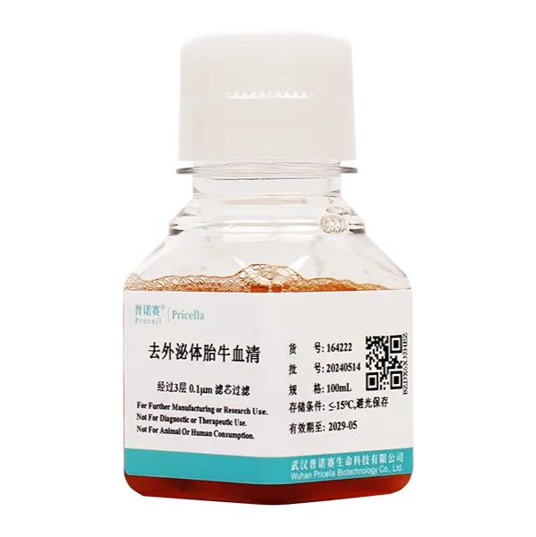 去外泌体胎牛血清