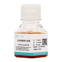 去外泌体胎牛血清