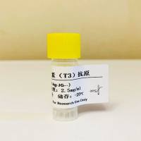 甲状腺原氨酸抗体，甲状腺素T4单克隆抗体 T4-McAb