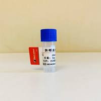 新霉素-BSA(OVA）偶联抗原；新霉素偶联抗原；新霉素抗原；Neomycin（NM）抗原； Neomycin（NM） BSA (OVA)