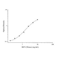 小鼠肾素(REN)ELISA Kit