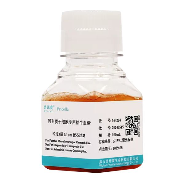 间充质干细胞专用胎牛血清