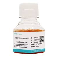 间充质干细胞专用胎牛血清