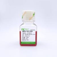 20%大鼠红细胞