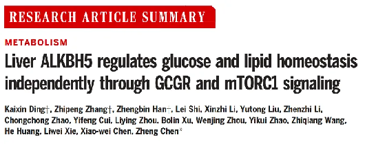 诺禾致源项目文章 | Science IF：44.7 MeRIP-seq+CUT＆Tag+RNA-seq表观多组学揭示肝糖脂代谢新机制