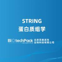 STRING 蛋白质组学