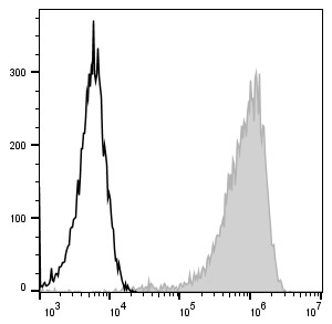 巨噬细胞研究必备！Elabscience PE Anti-Mouse F4/80抗体，高灵敏度、低背景