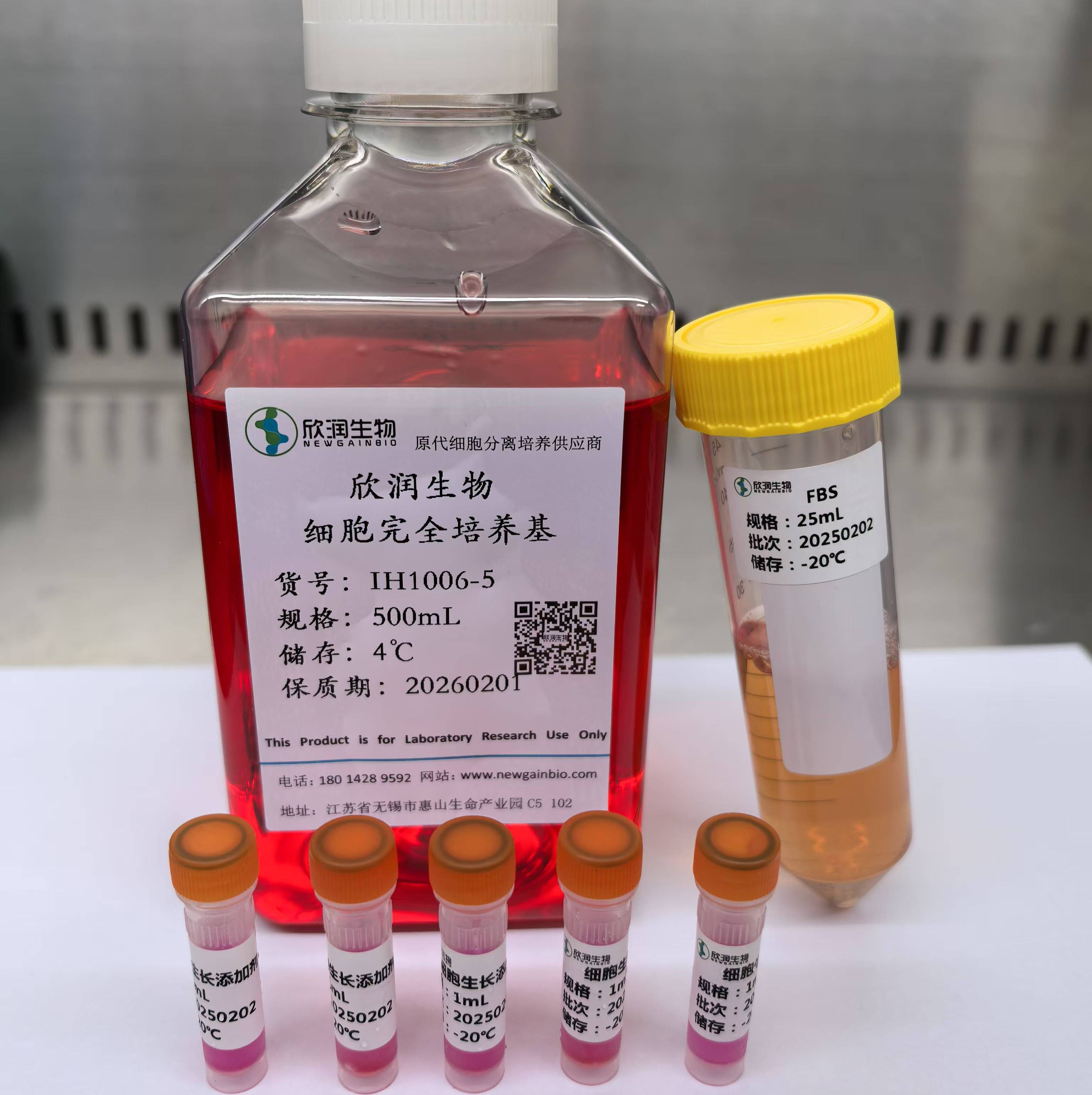 大鼠脂肪间充质干细胞系、大鼠脂肪干细胞系、永生化大鼠脂肪间充质干细胞、永生化大鼠脂肪干细胞