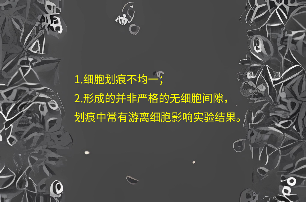 告别手抖！全新 Protocol 教你一次做出完美细胞划痕实验