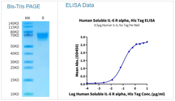 人类可溶性IL-6R alpha/CD126蛋白，科研好物限时抢