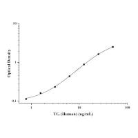 人甲状腺球蛋白(TG)ELISA Kit
