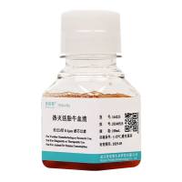 热灭活胎牛血清