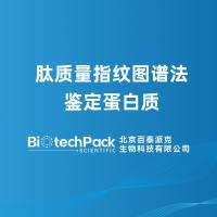 肽质量指纹图谱法鉴定蛋白质