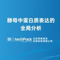 酵母中蛋白质表达的全局分析