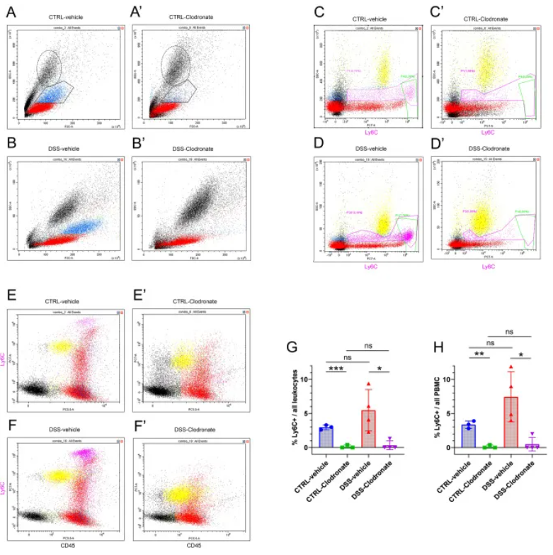 巨噬细胞清除小课堂 | 第四课：肠道