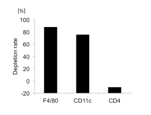 巨噬细胞清除小课堂 | 第四课：肠道