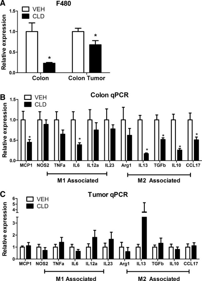 巨噬细胞清除小课堂 | 第四课：肠道