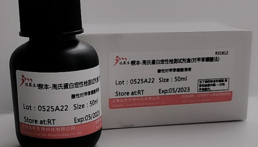 电泳法分离混合蛋白质的基本原理