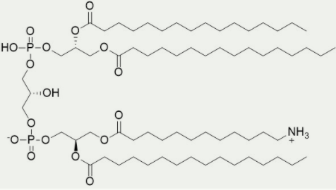 [干冰]氨基心磷脂(Amino-CL)：限时抢购！库存告急！