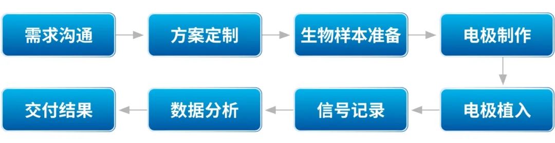 【产品服务】膜片钳技术服务