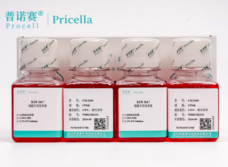 科研级RAW 264.7细胞专用培养基，助力炎症模型高效构建