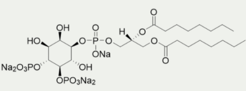 [干冰]PI(4,5)P2 diC8，进口品质，超值价格！