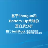 基于Shotgun和Bottom-Up策略的蛋白质分析