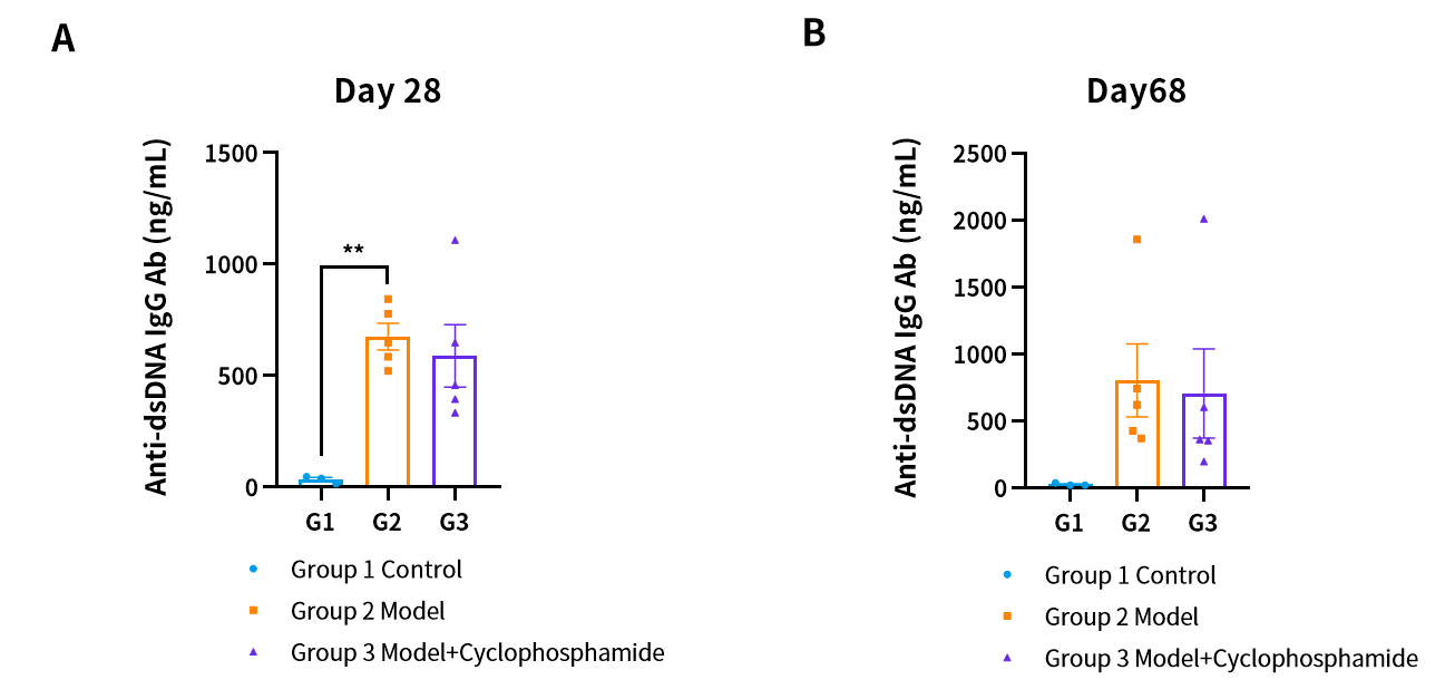 SLE模型新突破，助力破解药物评价难题