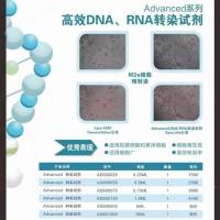 BMDC细胞转染试剂