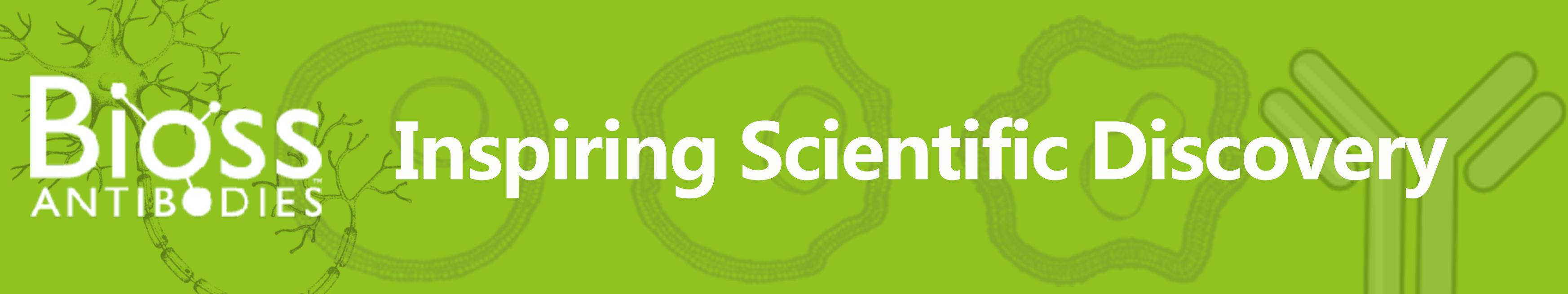 高灵敏度人IgA配对抗体！