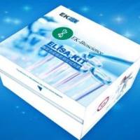 人 TR (Targeted Ribonuclease) ELISA试剂盒