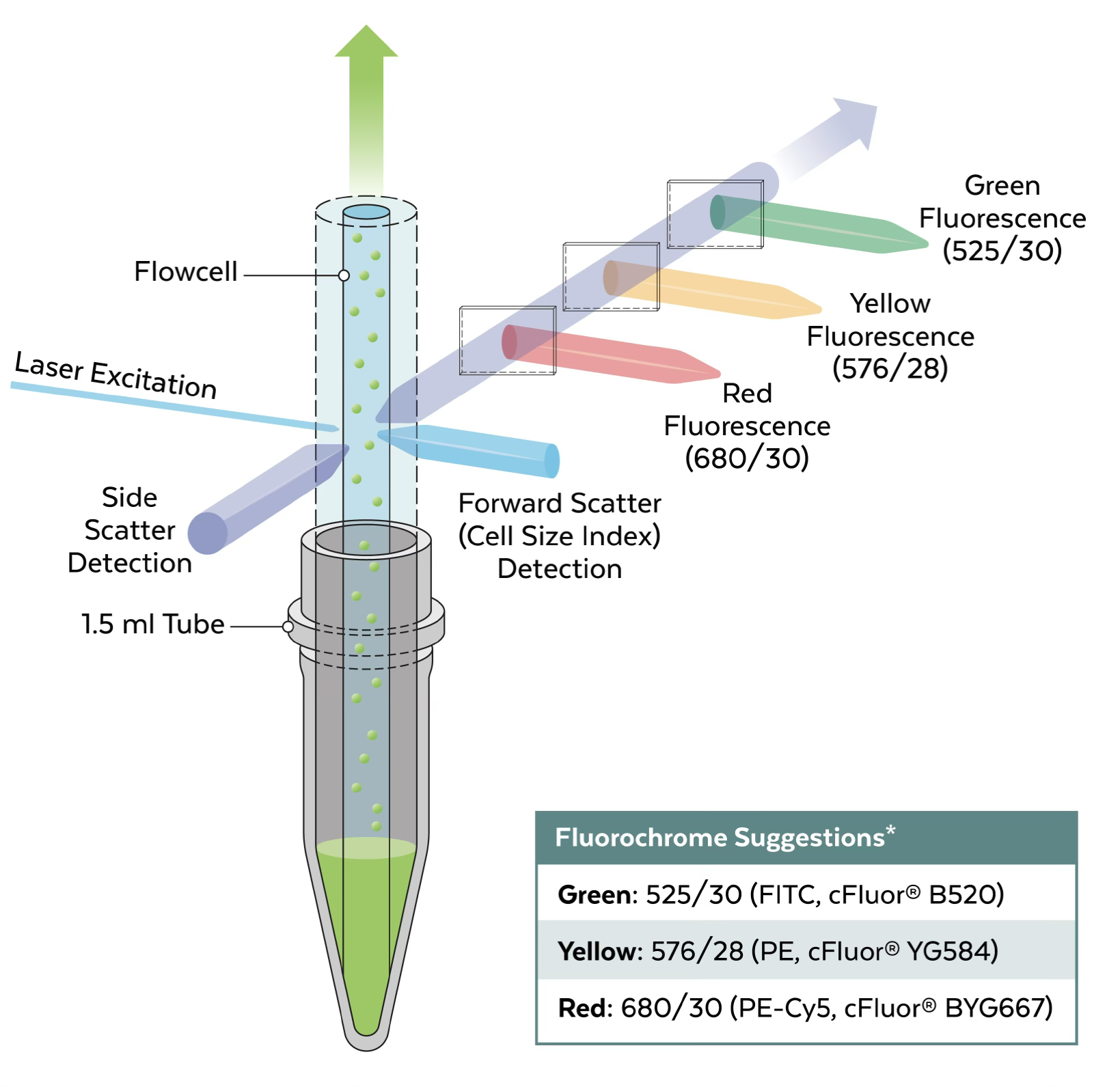 Cytek Biosciences推出经济实惠、简单易用的Cytek® Muse® Micro系统，拓展细胞分析产品线阵容